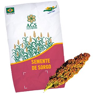 Semente de Super Sorgo Gigante Silagem Fracionado – 1kg