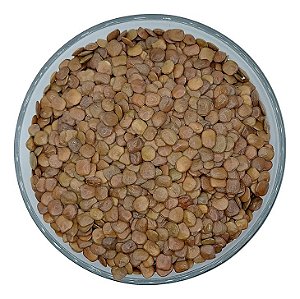 2.000 Sementes De Sansão Do Campo