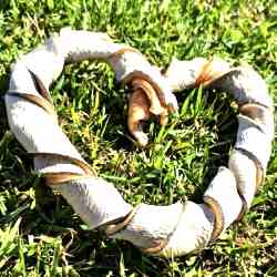 Mordedor Natural Crush Pet (Pele Bovina)