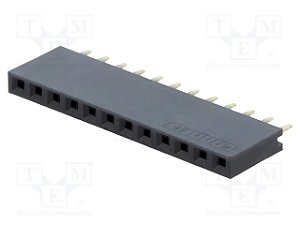 Conector Fêmea 1x12 Pinos Passo 2,54mm DS1023-1*12S21