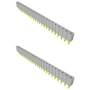 Receptáculo Fêmea 24 Posições PTH 2,54mm Samtec SLW-124-01-G-S