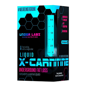 X-CARNITINE UNDER LABZ 480ML SABOR YELLOW FRUITS
