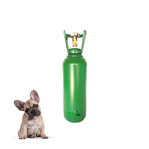 CILINDRO DE OXIGÊNIO - 07 LITROS COMPLETO