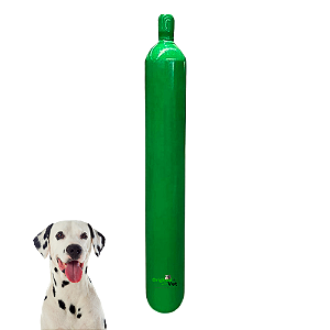 CILINDRO DE OXIGÊNIO - 40 LITROS COMPLETO