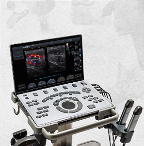 Ultrassom Chison SonoAir Veterinário