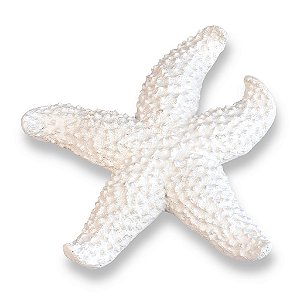 Estrela Decorativa De Mesa Branca em Resina 16 cm