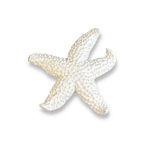 Estrela Decorativa De Mesa Branca em Resina 11 cm