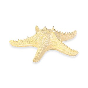 Estrela De Mesa Bege em Cerâmica 30 Cm