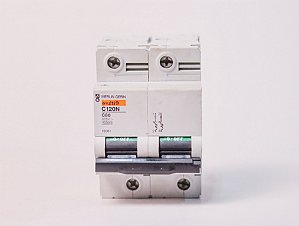 Disjuntor bipolar 80A C120N 18361 Schneider Electric Usado