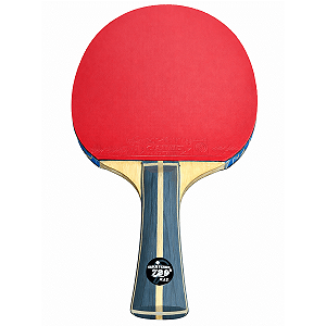Raquete Tenis de Mesa Classica Carbono Profissional 4 Estrelas