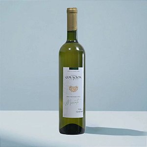 Vinho Branco Seco Moscato - Vinícola Colacion - 750ml