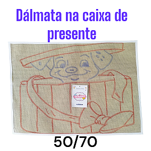 Dálmata na caixa de presente 50/70