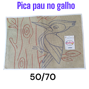 Pica-pau no galho