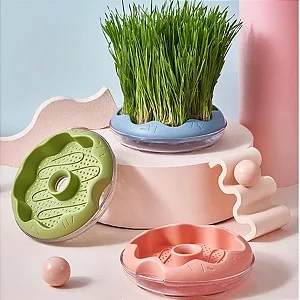 COMEDOURO DE CULTIVO DE GRAMINHA