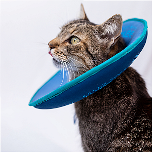 COLAR SOFT ULTRALEVE PARA GATOS (M / P)