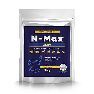N-MAX ALHO 1KG