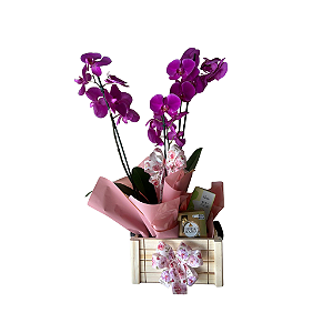 Orquídea Mãe Eu Te Amo