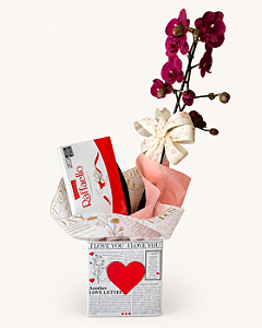 Orquídea com Chocolate Rafaello
