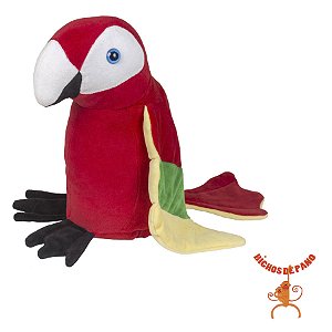 Arara Vermelha - P