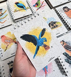 Caderneta - Arara Azul