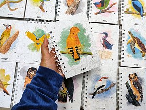 Caderneta - Galo-da-serra