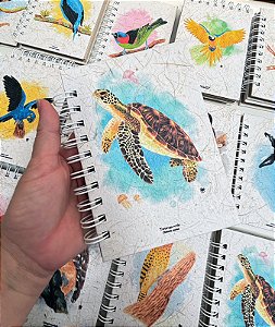 Caderneta Tartaruga-verde