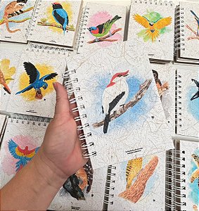 Caderneta - Soldadinho-do-araripe