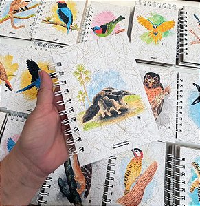 Caderneta - Tamanduá-bandeira