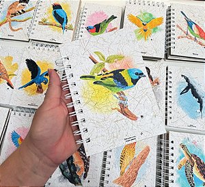 Caderneta - Saíra-sete-cores M