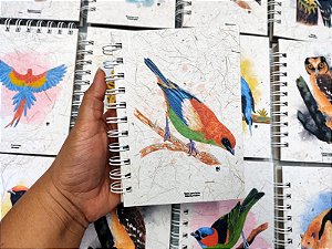 Caderneta - Saíra-preciosa