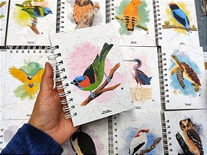 Caderneta - Saíra-militar