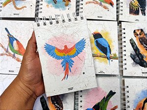 Caderneta - Araracanga