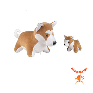 Akita Grávida com 1 filhote