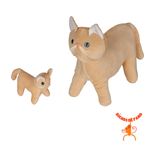 Gata Angorá Grávida