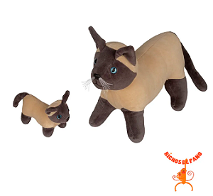 Gata Siamesa Grávida