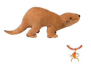 Lontra Tortinha G