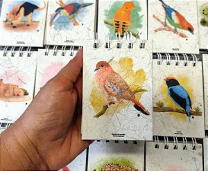 Caderneta Rolinha-do-planalto - P