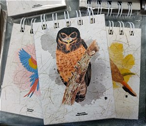 Caderneta Murucututu - P