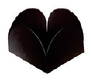 Forminhas para Doces 4 Petalas 7X7cm com 50 unidades - Preto