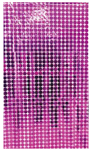 Cortina Metalizada Quadrado Pequeno 1x2m c/1 unid. - Pink