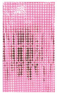 Cortina Metalizada Quadrado Pequeno 1x2m c/1 unid. - Rosa