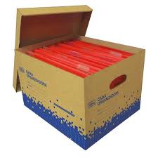 CAIXA ORGANIZADORA PAPELÃO GRANDE TILIBRA  7891027151515