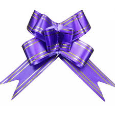 LAÇO FACIL 18MMX34MM ROXO C/10  7897775199014