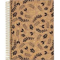 C.D.10 X 1 JANDAIA KRAFT BLACK 160F 7894494748110