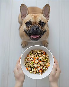 Fácil Digestão - Adulto (1 porção)