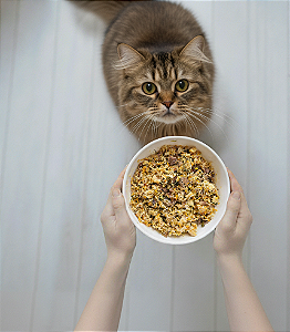 Frango - Gatos (1 porção)