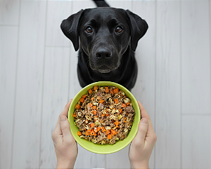 Macarronada - Adulto (1 porção)