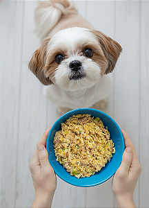 Risoto de Frango com Bucho - Adulto (1 porção)