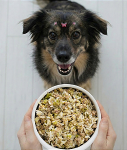 Carne Essencial - Cães Adulto (1 porção)