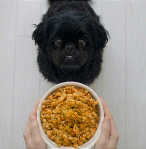 Lombo Essencial - Cães Adulto (1 porção)